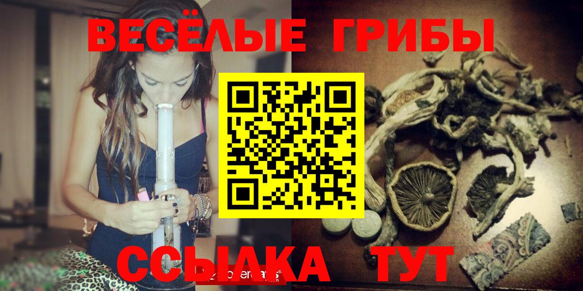 Артёмовский  Галлюциногенные грибы Psilocybe  Вход с VPN 